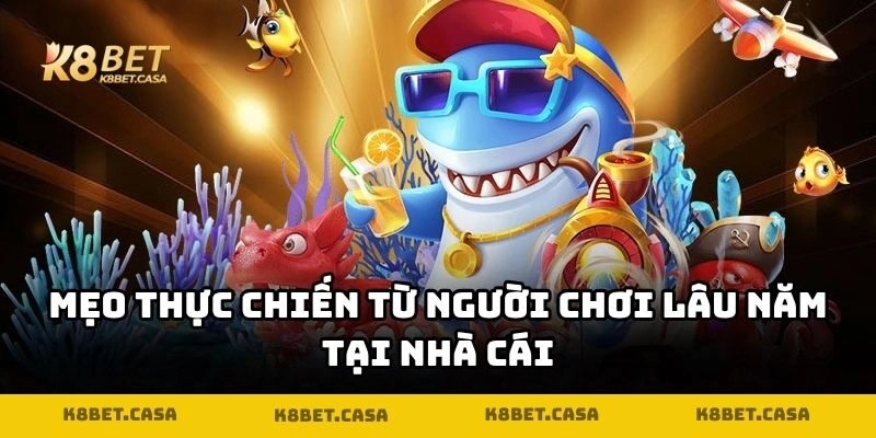 Mẹo thực chiến từ người chơi lâu năm tại nhà cái