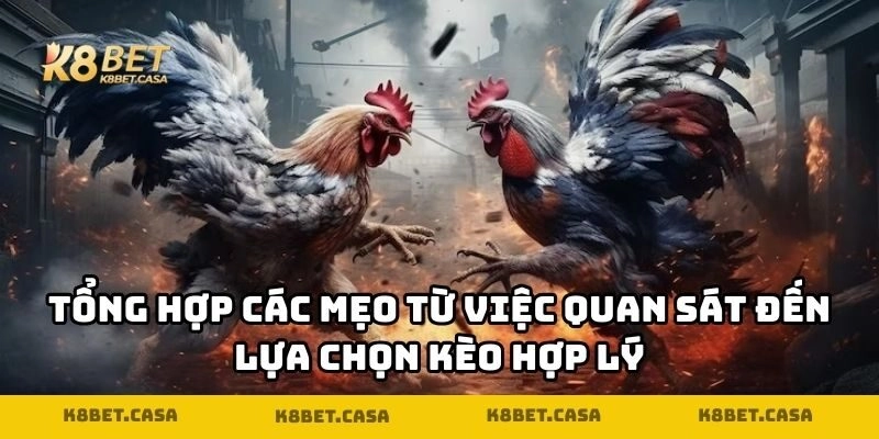 Tổng hợp các mẹo từ việc quan sát đến lựa chọn kèo hợp lý