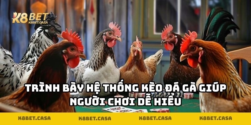 Trình bày hệ thống kèo đá gà giúp người chơi dễ hiểu