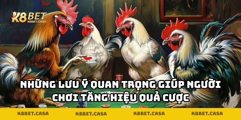 Những lưu ý quan trọng giúp người chơi tăng hiệu quả cược
