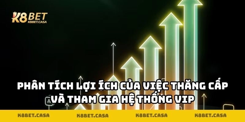 Phân tích lợi ích của việc thăng cấp và tham gia hệ thống VIP